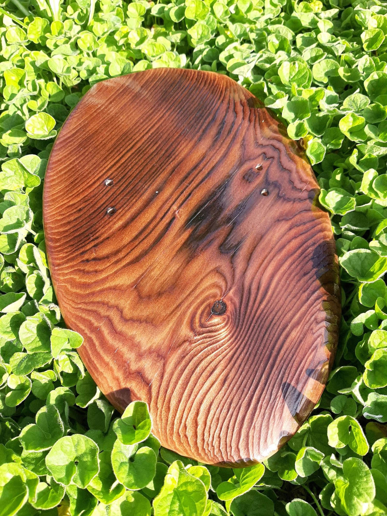 Image of Custom cedar CC081801