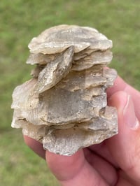 Image 8 of Australian Gypsum / Selenite specimen #796