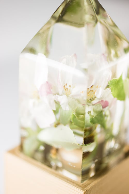 Image of Apple Blossom (Malus domestica) - Floral Prism Light #1