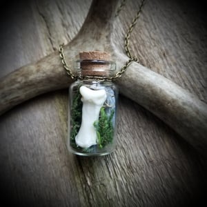 Image of Gemstone and Wolf Bone Terrarium Necklace