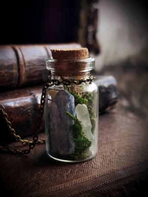 Image of Gemstone and Wolf Bone Terrarium Necklace