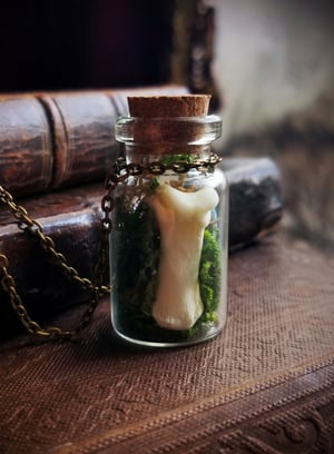 Image of Gemstone and Wolf Bone Terrarium Necklace