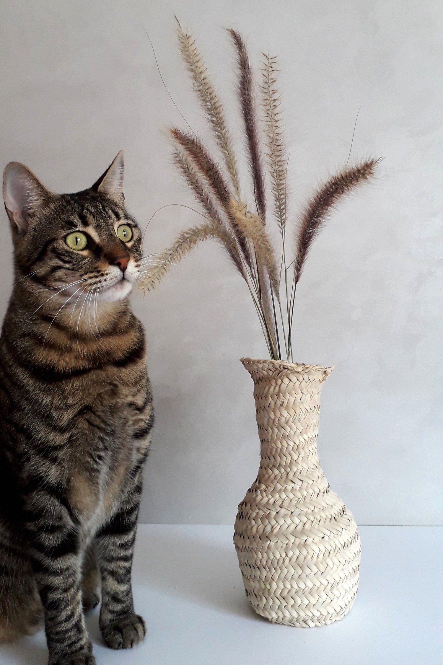 Image of PALM LEAF VASE