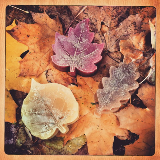 Image of Skatewax "Leaves" Set of 3 