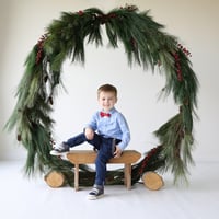 Image 1 of Holiday Wreath Mini Session