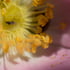 yeah and then it'll be fine Image 3