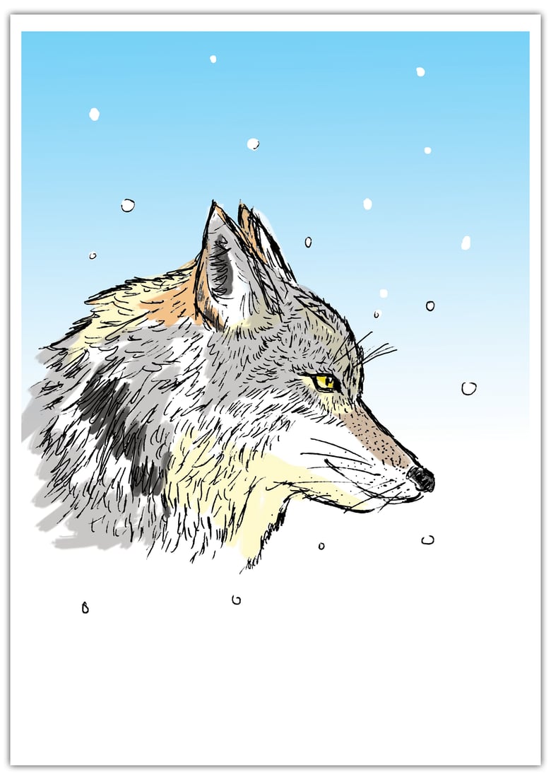 Image of "Coyote Head"- A4 Print (21cm X 29.7cm)