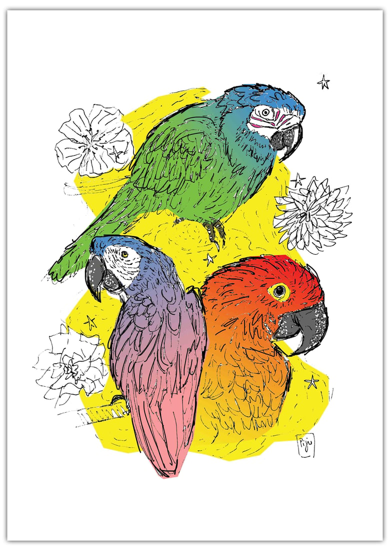 Image of "Parrots"- A4 Print (21cm X 29.7cm)