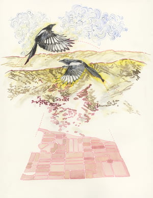 "The Magpies' Pink Cemetery Map" giclee print