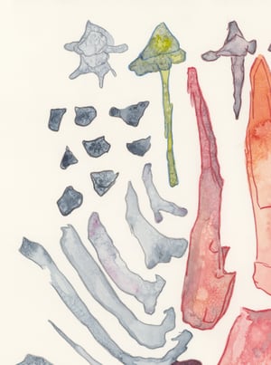 "Bones of an Unknown Beast" giclee print