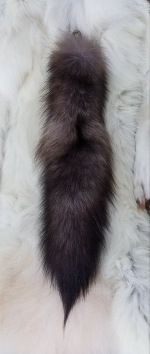Image of Black Wolf Tail