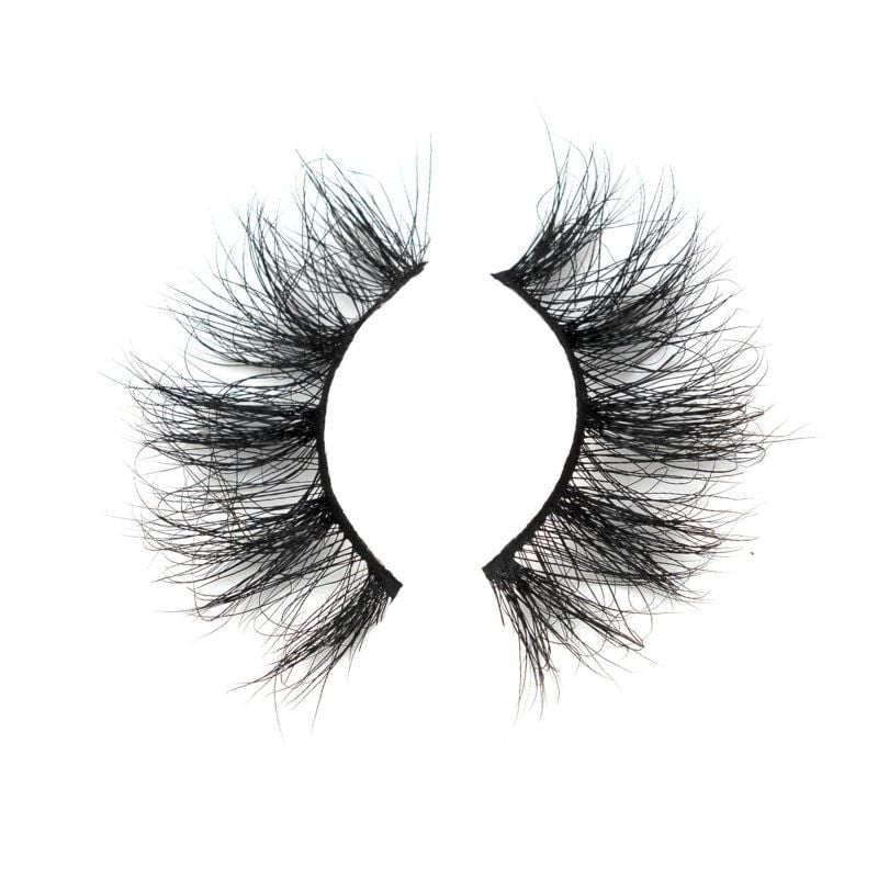 Image of Flutter