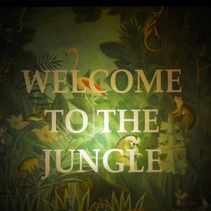 Image of Welcome to the jungle