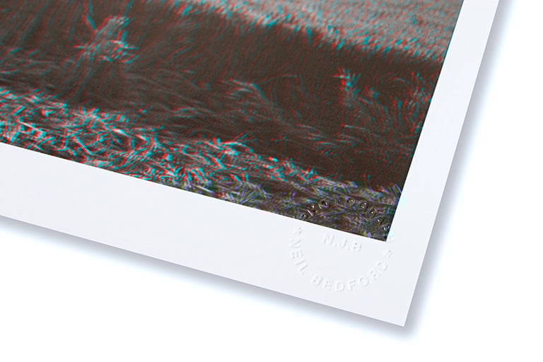 THE S.L.P. 3D PRINT WITH 3D GLASSES