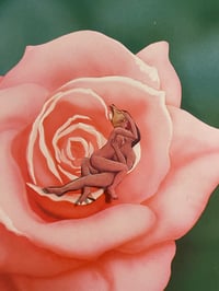 Rose bud