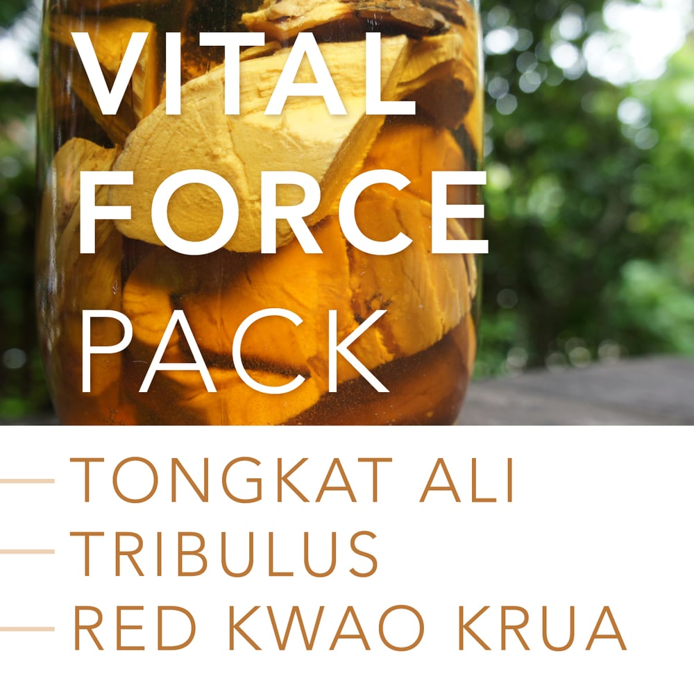 Image of VITAL FORCE PACK: Tongkat Ali, Tribulus Terrestris and Red Kwao Krua