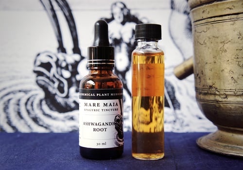 Image of BIOHACK PACK: Ashwagandha, Reishi Mushroom and Lion’s Mane Mushroom