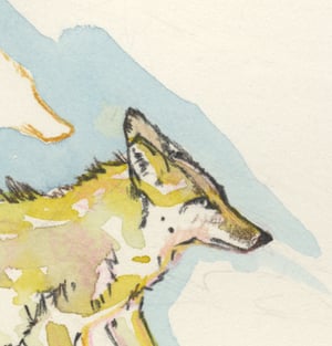 "Coyote Approach" giclee print
