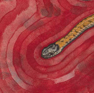 "Reminder from a Terrestrial Garter Snake" giclee print