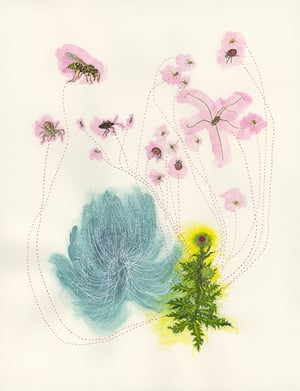"Meetings with Arthropods at a Thistle" giclee print