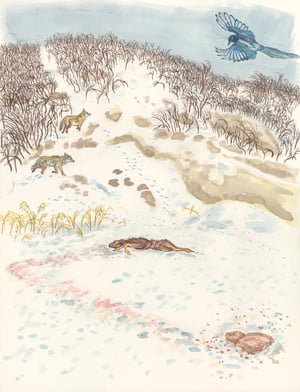 "Dead Deer Found by Magpie and Coyotes" giclee print