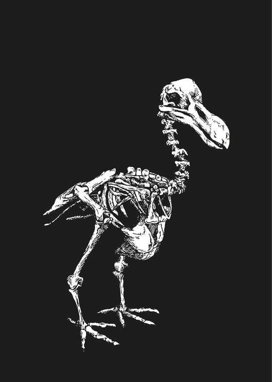Image of DEAD AS A DODO