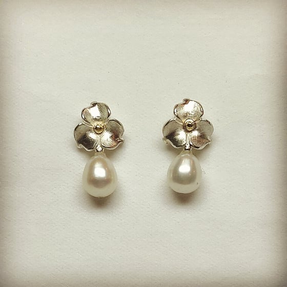 Beeld van Pearl studs