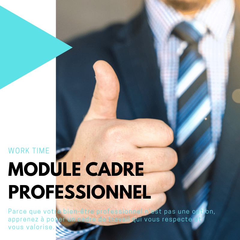 Image of Module Cadre Professionnel 