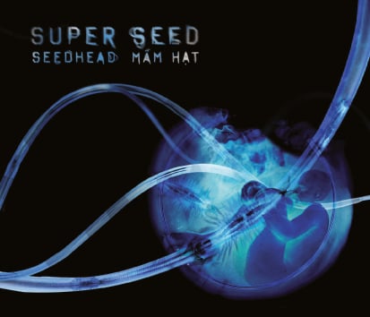 Image of Seedhead by Super Seed