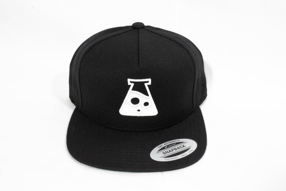 Image of DevPoint SnapBack Hat