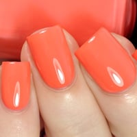 Image 2 of Coral Tradition