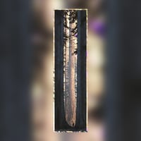 5 available! - "AVENUE OF THE GIANTS" - LAVA FOIL