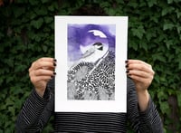 Image 1 of CHICKADEE KING: 9X12 INCH LIMITED EDITION PRINT