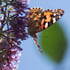 Tender loving care and understanding. Image 3