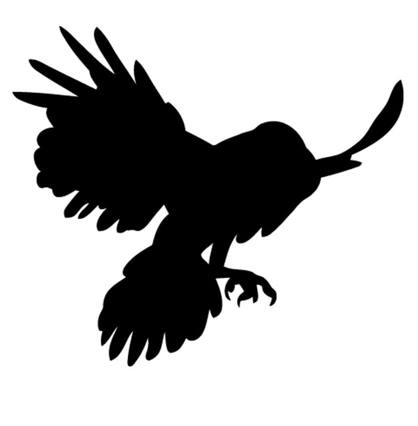 Image of NEW EDIFICE CLOTHING BRAND BLACK RAVEN BIRD DECAL STICKER