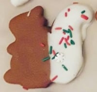 Winter Wooferland Gingerbread Tail-Dipped Squirrel Cookie -Squirrel Trio