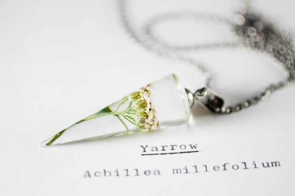 Image of Yarrow (Achillea millefolium) - Conical Pendant #1