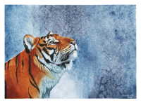Image 2 of Tiger print