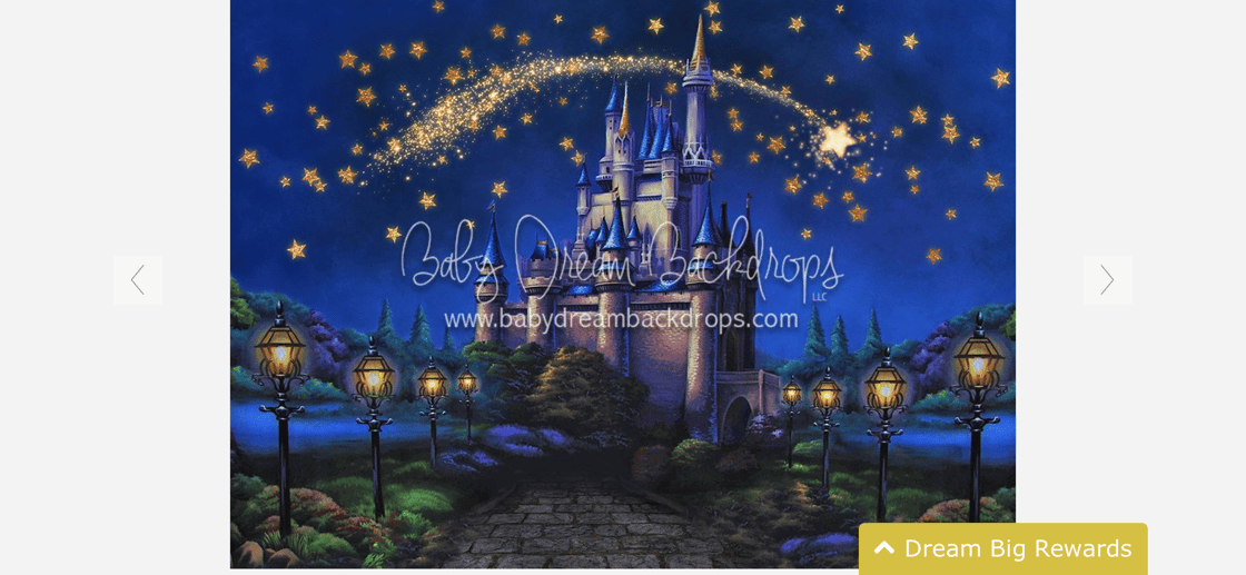 Image of ENCHANTED EVER AFTER PRINCESS PHOTOSHOOT EXPERIENCE- CINDERELLA, SNOW QUEEN, RAPUNZEL