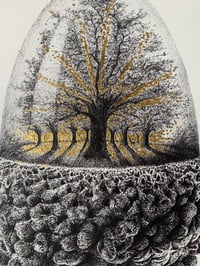 Image 4 of All In A Nutshell