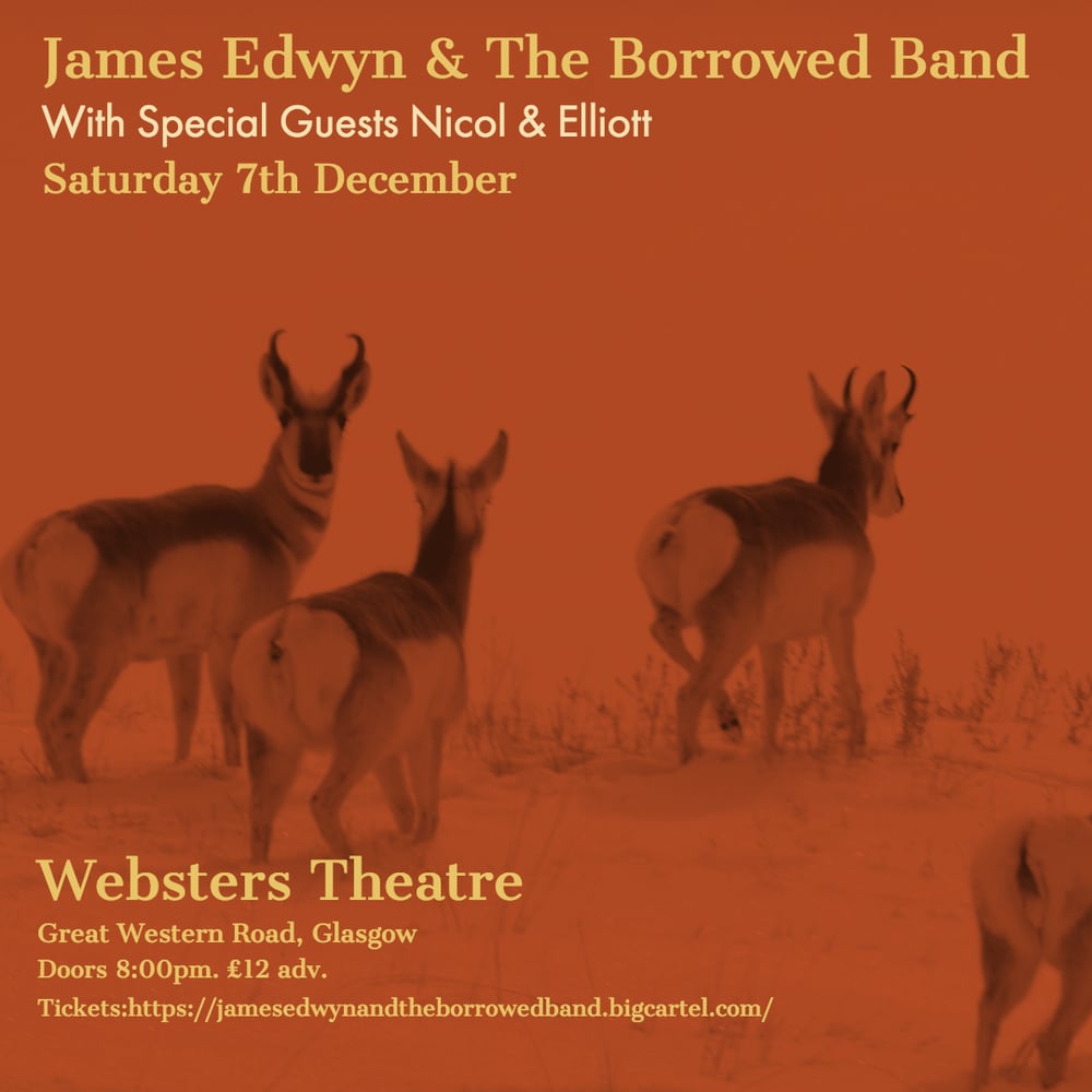 Image of James Edwyn & The Borrowed Band - Websters - 7th December
