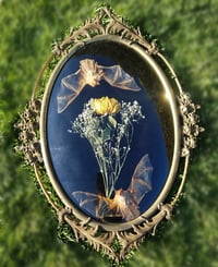 Image 1 of Painted Bats bubble frame