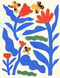 Image 1 of Papillons