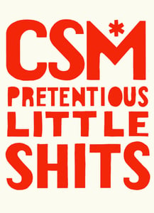 Image of CSM PRETENTIOUS LITTLE SHITS Poster