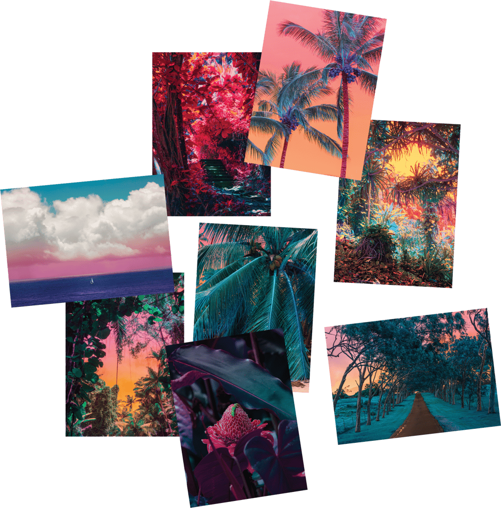 POSTCARD SET: Hawaii I