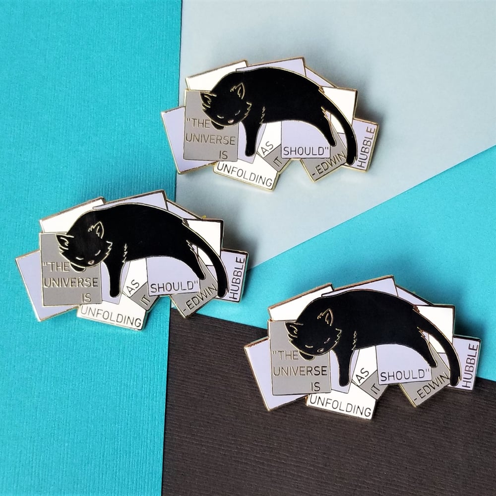 Edwin Hubble's Cat Pin