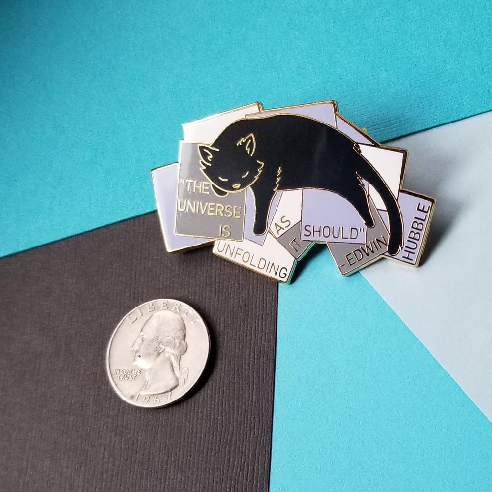 Edwin Hubble's Cat Pin