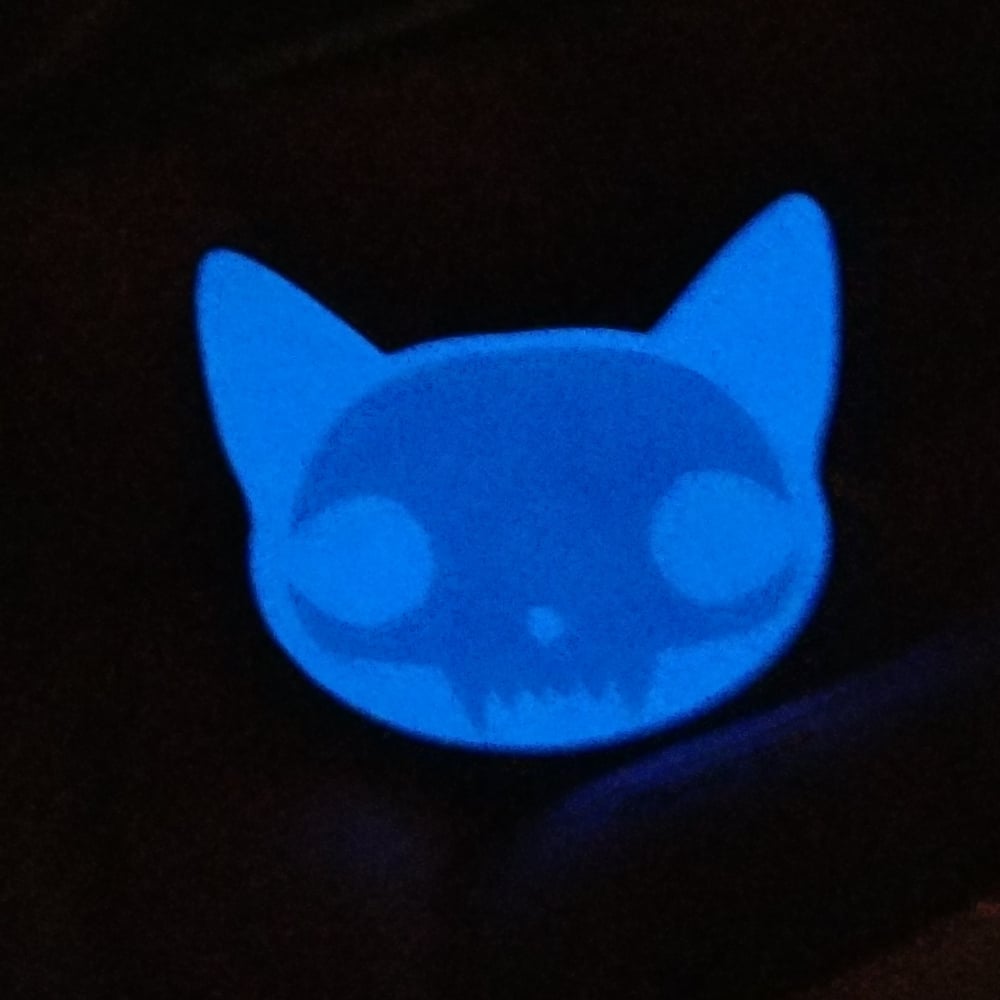 Image of Schrödinger's Cat Pin