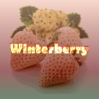 Image 1 of Winterberry