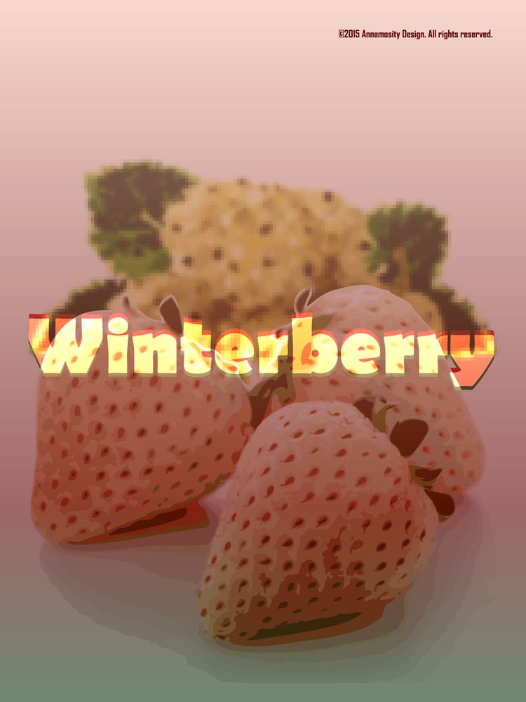 Image of Winterberry
